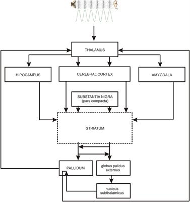 Pitch Syntax Violations Are Linked to Greater Skin Conductance Changes, Relative to Timbral Violations – The Predictive Role of the Reward System in Perspective of Cortico–subcortical Loops